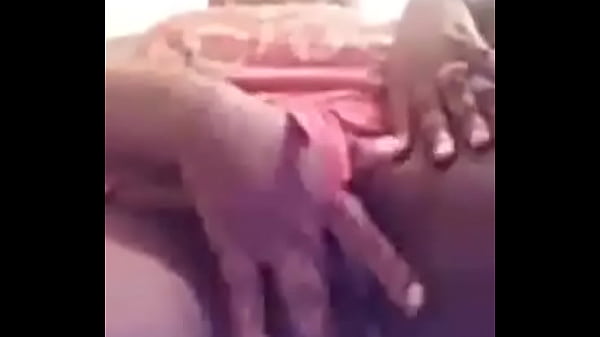 Play MP4 - DesireeMonia