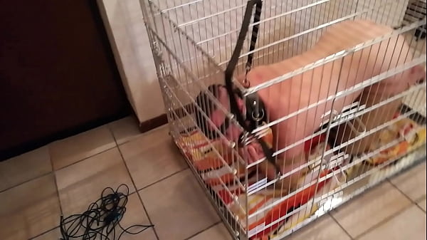 Play MP4 - DogSlave2