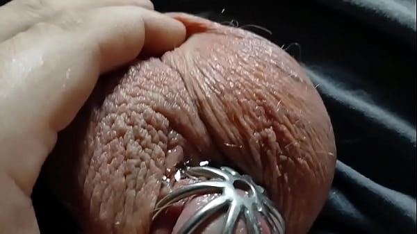 A very leaky cage puppy 