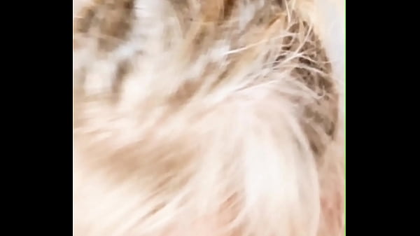 Play MP4 - DrBlackjohnsonxxx vs Busty Florida Milf Nasty Compilations