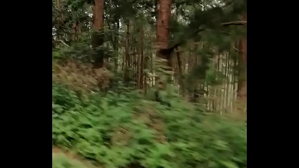 Video x&aacute_c minh