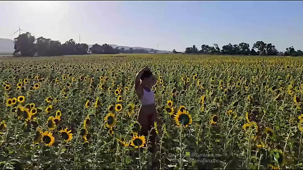 Red - Desafio No Campo De Girassol Transando Na Planta&ccedil;&atilde;o - Damiana, Brasileira Safada Pela Europa Ep6 thumbnail