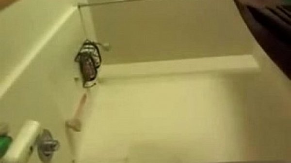 Brunette with great tits puts inside her wet pussy a dildo