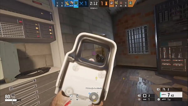 Main amaru folla a 5 perritas_sin protección