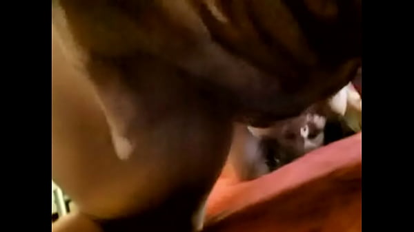 mydirtyhobby_Amateurslut openholes1