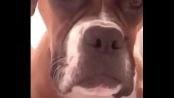 BIG FAT ASS BRUHH imvalentin competition soundcloud imvalentin