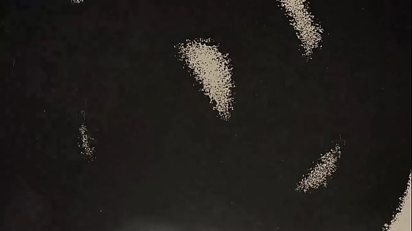 Nonton Belanova (lyric Video) thumbnail