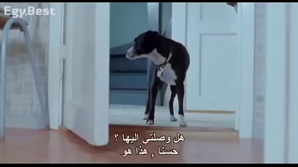 فيديو التحقق