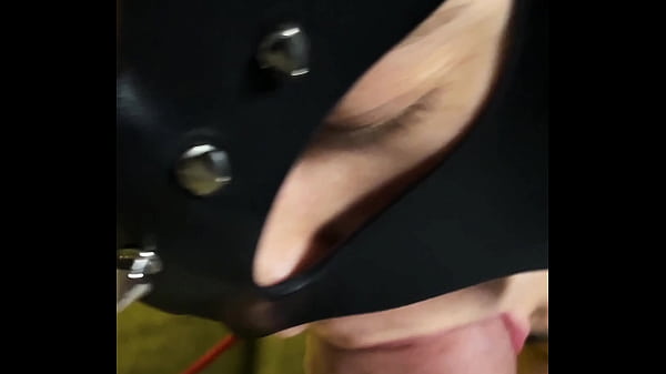 Collared slave bdsm training mobile 4k