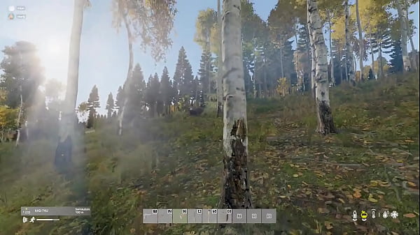 En el bosque me encuentro un oso 