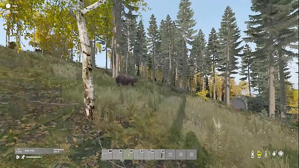 En el bosque me encuentro un oso