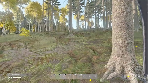 Nonton En El Bosque Me Encuentro Un Oso thumbnail