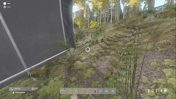 En el bosque me encuentro un oso 