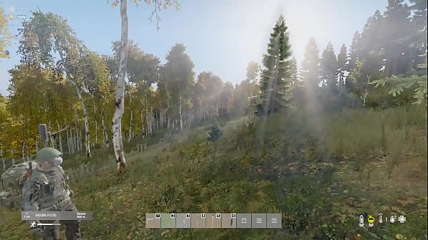 En el bosque me encuentro un oso 