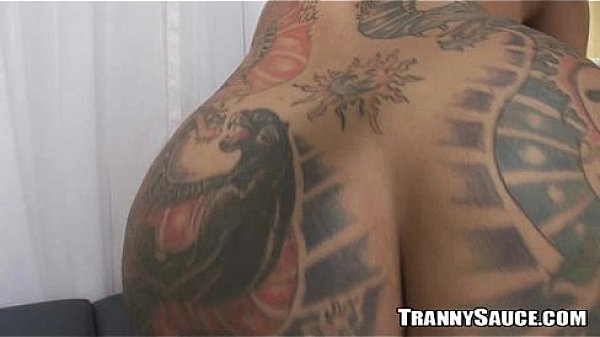 Stunning tattooed shemale hottie tugging her cock 