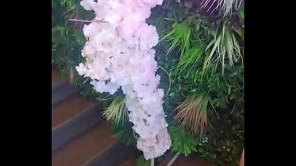 Update #60 2024 04 13t16 34 23 000z 