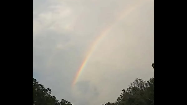 Nonton Rainbows ️️️ thumbnail