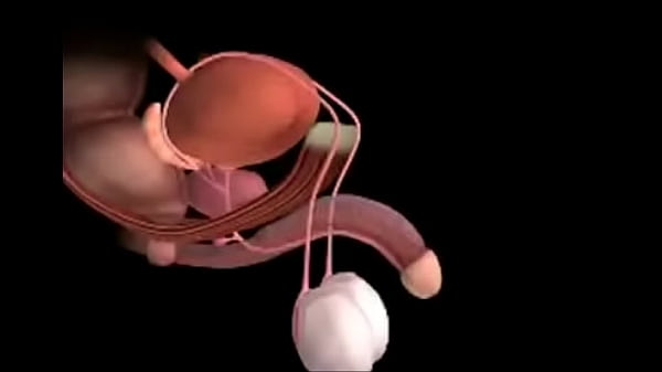 Nonton Gameplay thumbnail