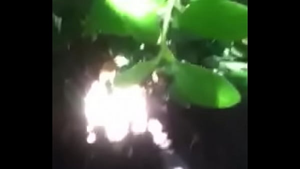 Nonton Trim.7368955c-a193-43d2-8cfc-d2628c0ac581.mov thumbnail