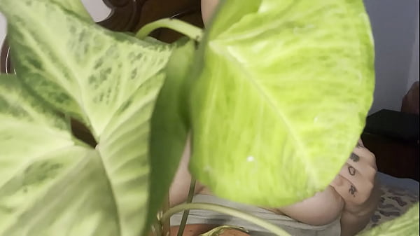 Hello dear big natural tit wiggle