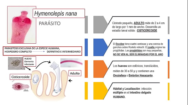 Jugando con el culo de mi novia 