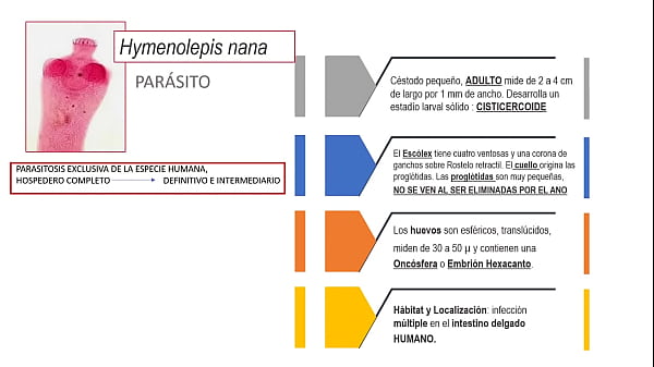 Jugando con el culo de mi novia 