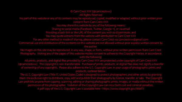 Nonton Thick Asian Ditaya Gets Boned Down By Cam Crest thumbnail