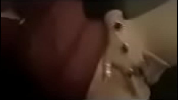 Nonton Best Pussy A Man Can Ask For thumbnail