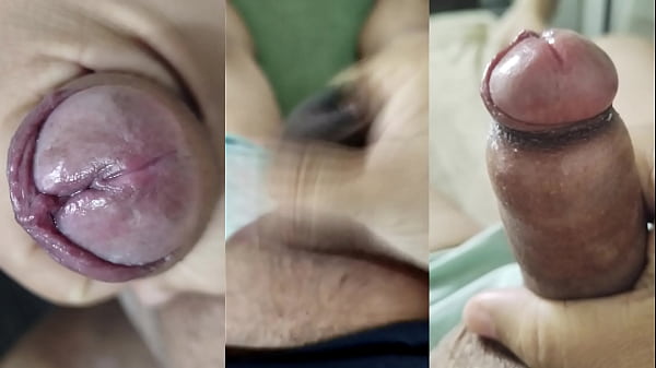 Nonton Compilado Das Melhores Gozadas E Punhetas Meu Pau Pequeno Fimose E A Masturbada Da Minha Vizinha Que Goza Gostoso Na Sua Deliciosa Buceta E Peitos - (parte 6) thumbnail