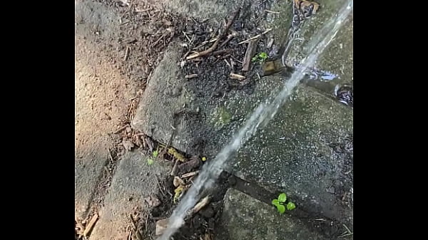 Tiatinkles outside tinkles img 2891 aug 12 2025 