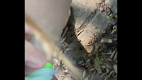 Tiatinkles outside tinkles img 2891 aug 12 2025 