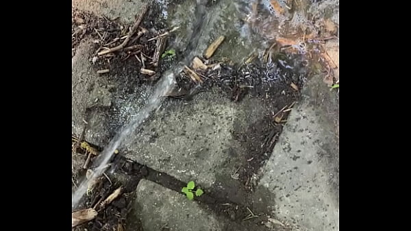 Nonton Tiatinkles - Outside Tinkles - Img 2891 - Aug 12, 2025 thumbnail