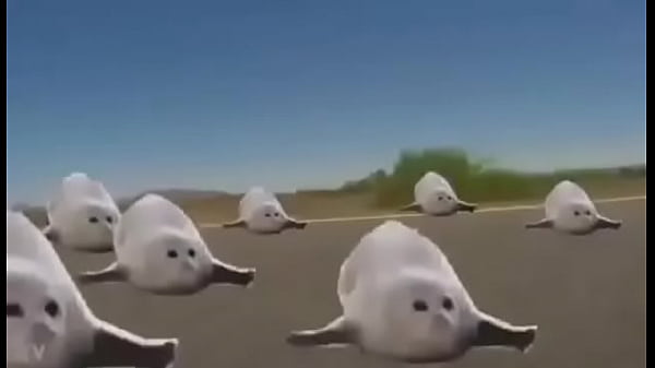 Nonton Un Sirif A En Pa thumbnail