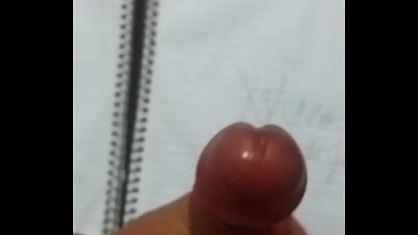 OV&iacute_deo de verifica&ccedil_&atilde_o