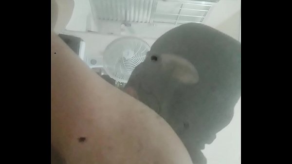 Play MP4 - Novinho comendo veado