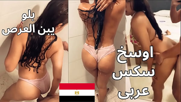 The Best Egyptian Sharmota اجمد سكس مصرى ممكن تشوفه شغال نيك فيها فى الاوضه و دخل وراها الحمام تقوله احوو براحه بلو يا عرص thumbnail