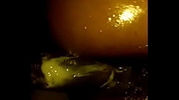 Creamy wet_black big booty_ebony homemade