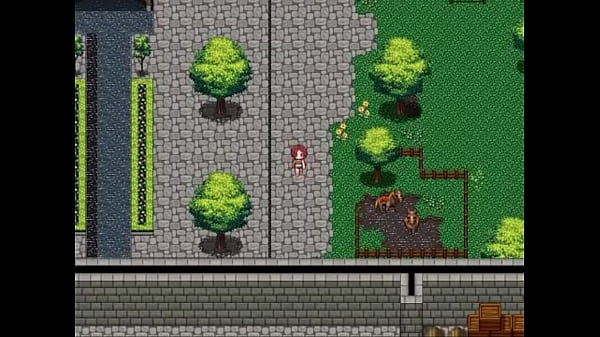 Vera s Region Tour Diary_Part 2 Becoming_an adventurer