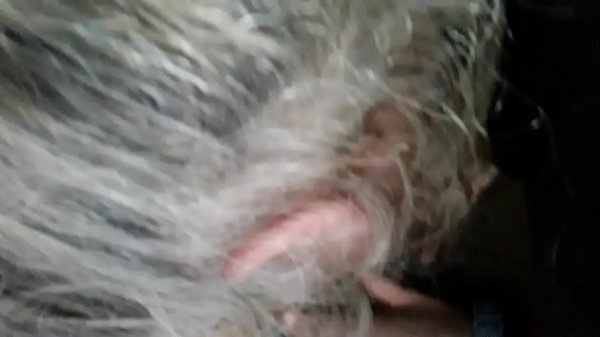 Play MP4 - 20170422 114235