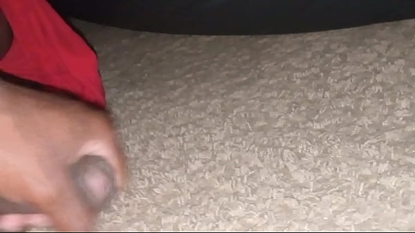 Mister small gee gee 2