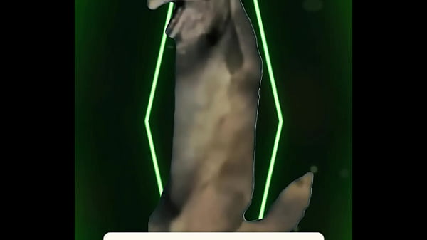 Soft light quiet thoughts and that peace you only find when you stop trying to chase it