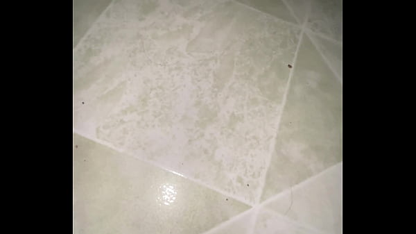 Nonton V&iacute;deo De Verificaci&oacute;n thumbnail