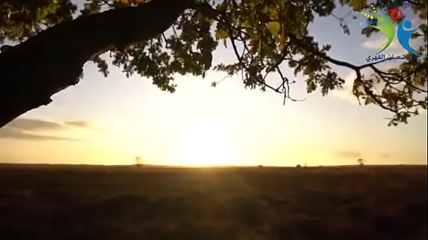 فيديو التحقق thumbnail