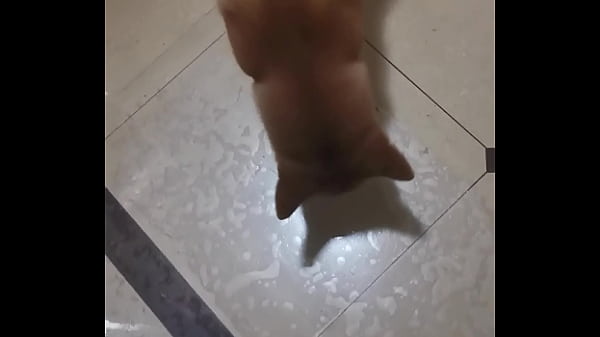 验证视频