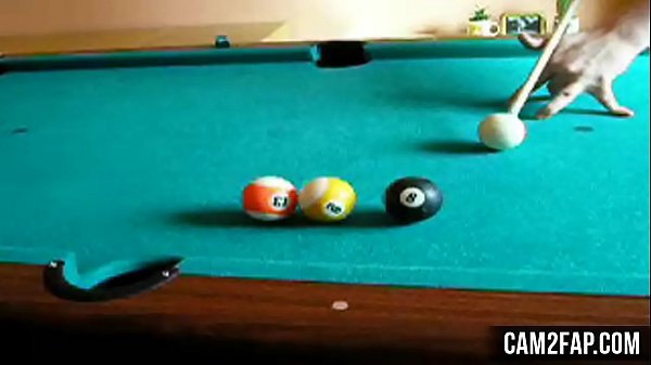 Hardcore Free AsianBBW Porn Video