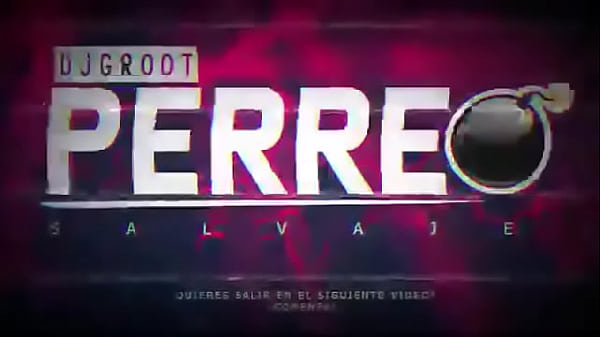 Mix_Perreo Salvaje Mix Reggaeton Antiguo