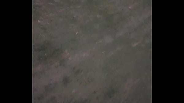 Dando coice no time do renannoveski na linha holandesa 