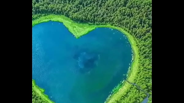 वेरीफ़िकेशन विडियो 