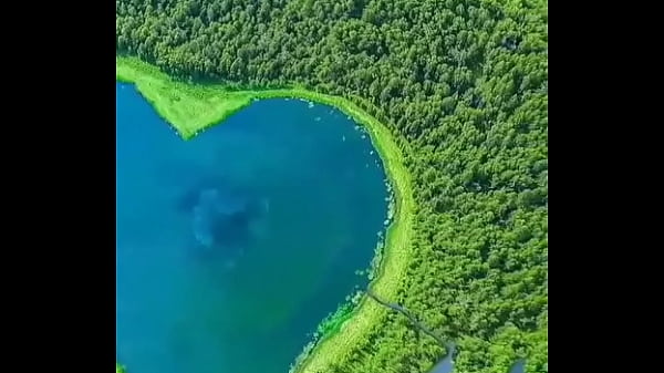 वेरीफ़िकेशन विडियो thumbnail