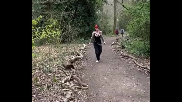 Missing dog answers to the name of paul or bitch is 5'6 blonde hair and blue eyes i'm getting very worried he esca